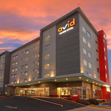 Avid Hotel - Fresnillo By Ihg Fresnillo de Gonzalez Echeverria Exterior photo